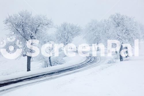 Snowy Winter Road, Trees With Snow And Fog